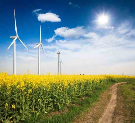 Growth of Global Solar and Wind Energy Continues to Outpace Other Technologies